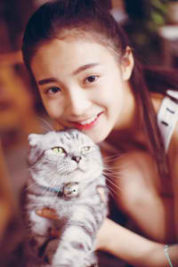 情满四合院免费观看全集电视剧